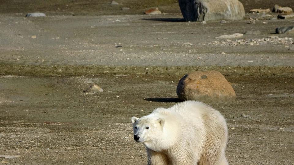 Churchill Manitoba Oct 2023 39
